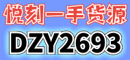 DZY2693